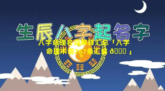 八字命理名词解释汇总「八字命理术语267条汇编 🐝 」